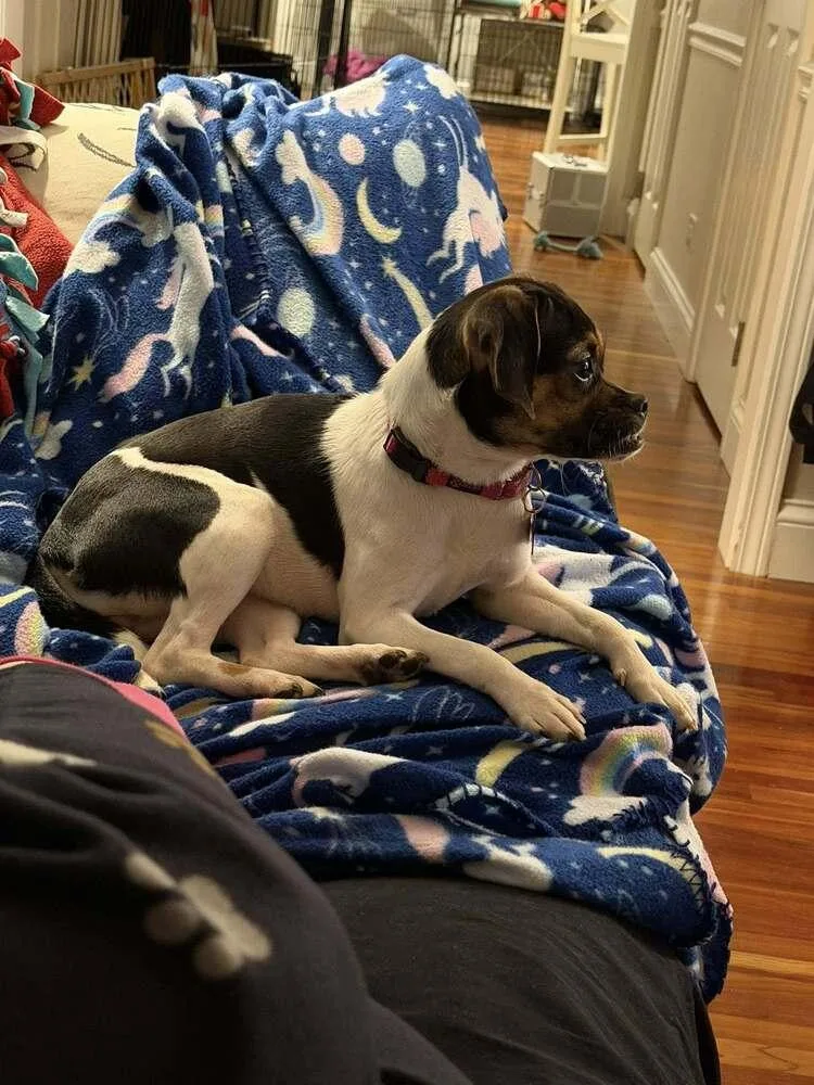 Edwina Sharma thumbnail 3