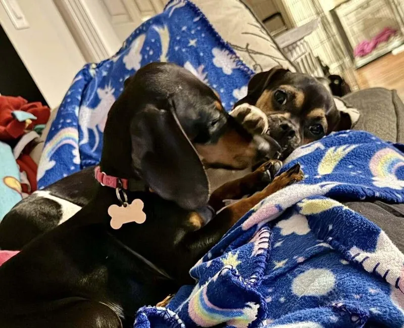 Edwina Sharma thumbnail 5