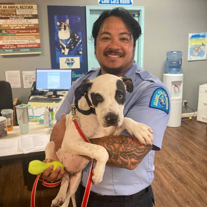 Jalapeno Chicken thumbnail 3