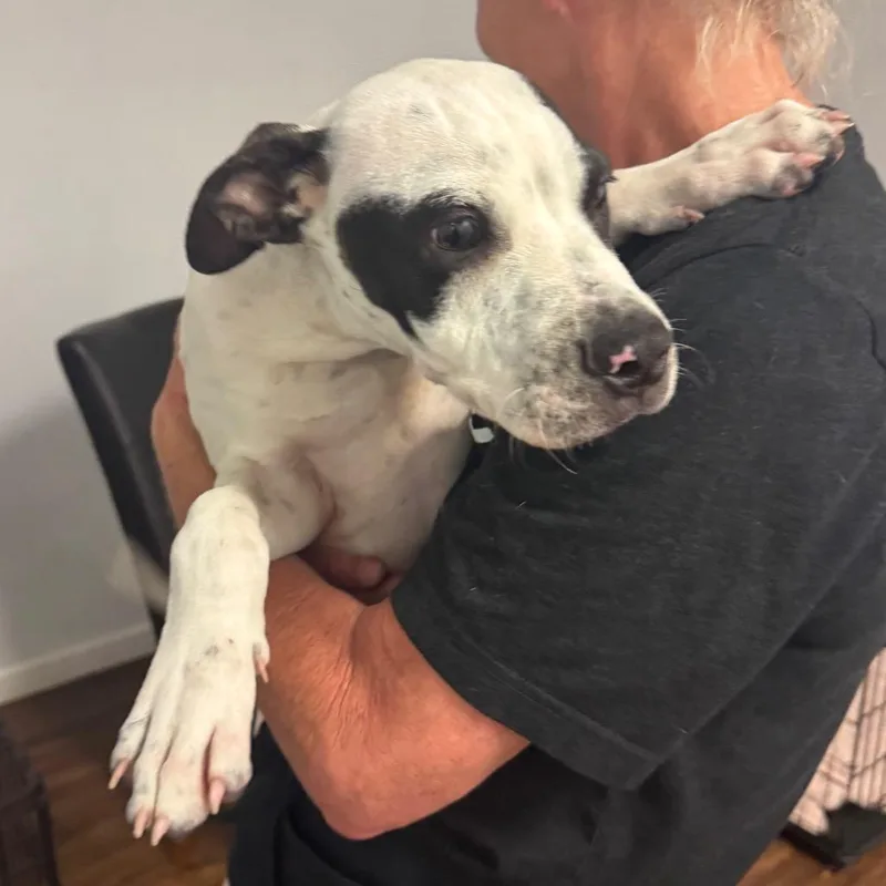 Jalapeno Chicken thumbnail 4