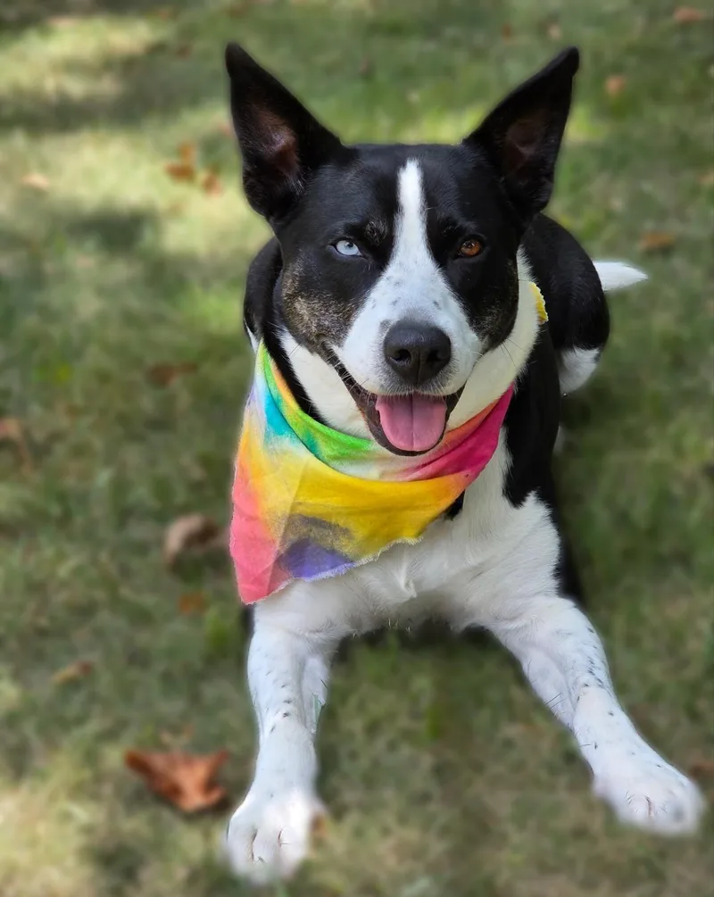 New York thumbnail 2