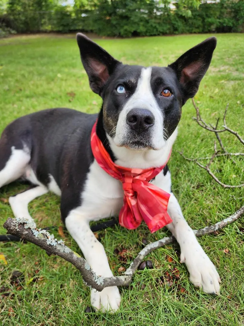 New York thumbnail 3