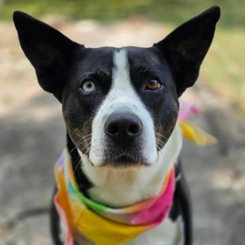 New York thumbnail 4