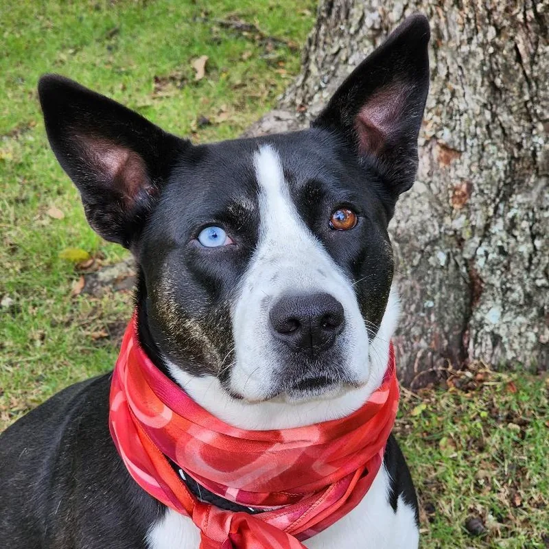 New York thumbnail 5