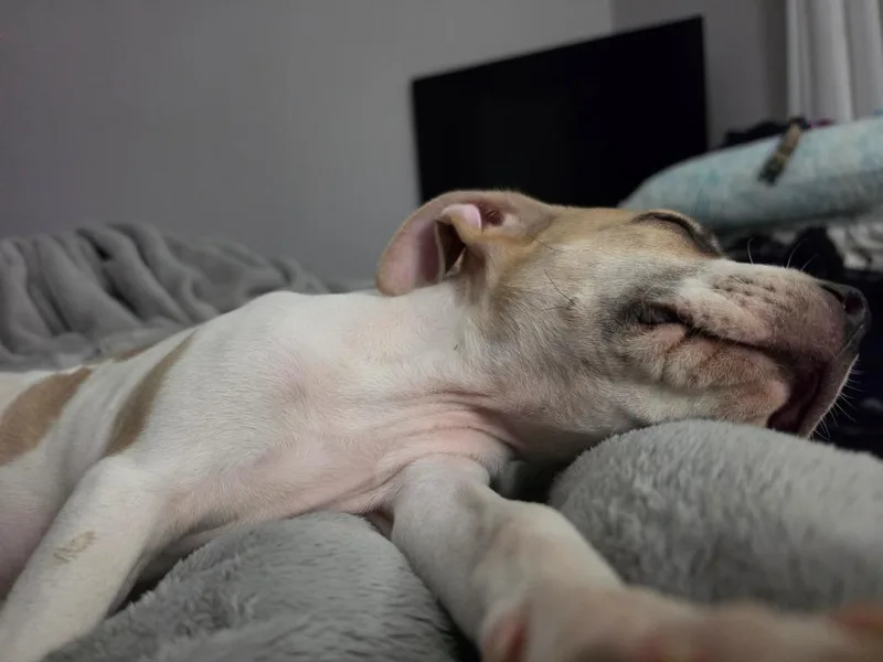 Chester "Chetther thumbnail 2