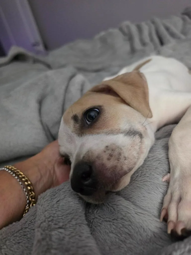 Chester "Chetther thumbnail 3