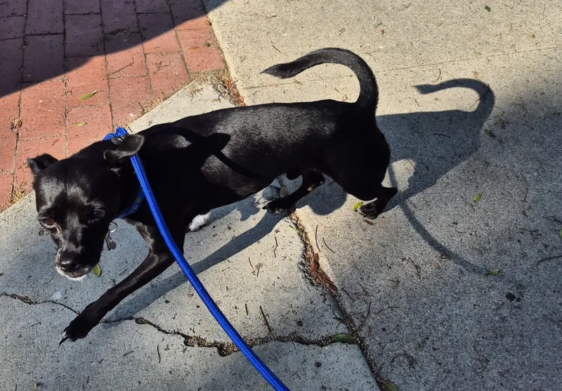 Southpaw!! thumbnail 2