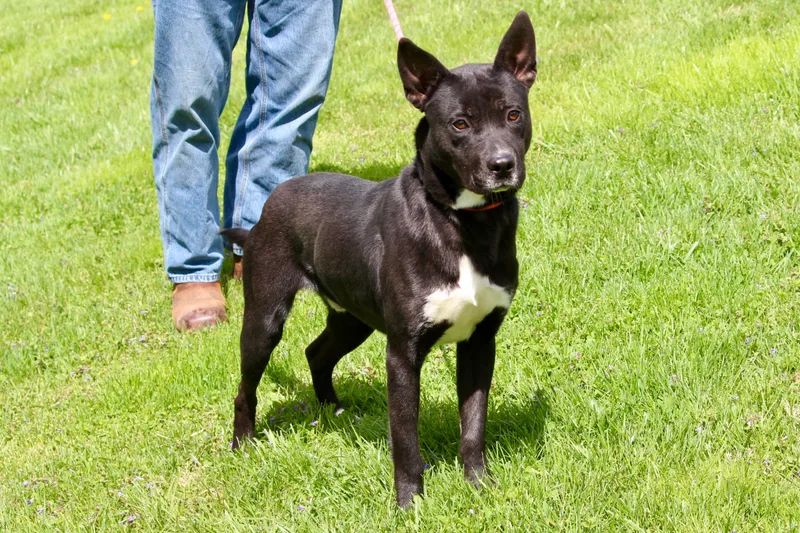 James Bond thumbnail 3