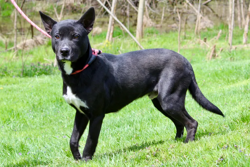 James Bond thumbnail 5