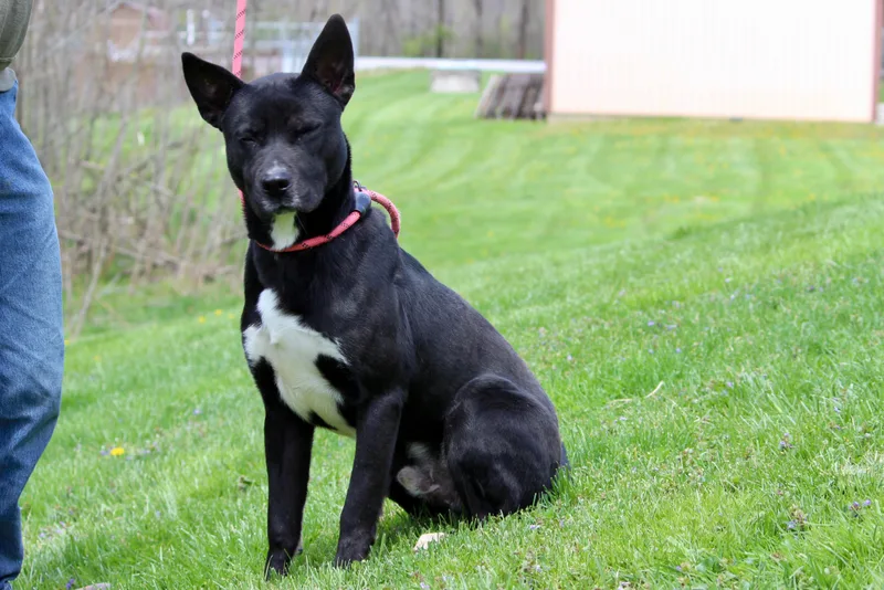 James Bond thumbnail 6