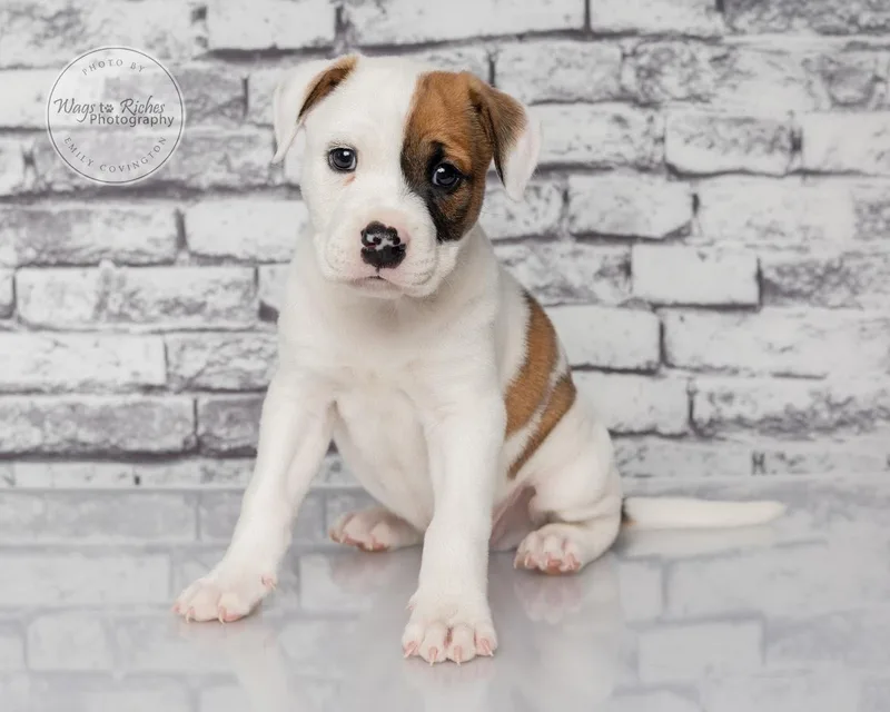 Marley