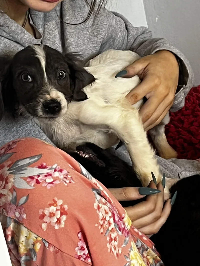 Winnie thumbnail 3