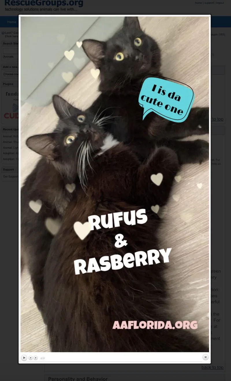 Rasberry thumbnail 2