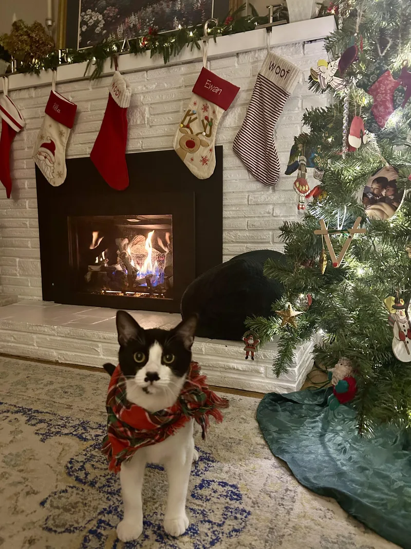 Tisket & Tasket  thumbnail 2