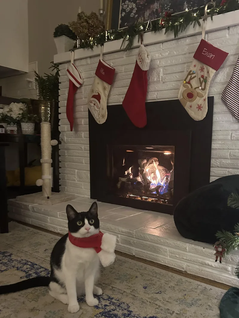 Tisket & Tasket  thumbnail 5