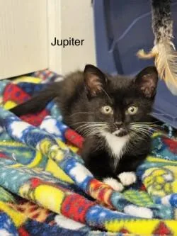 Jupiter thumbnail 3
