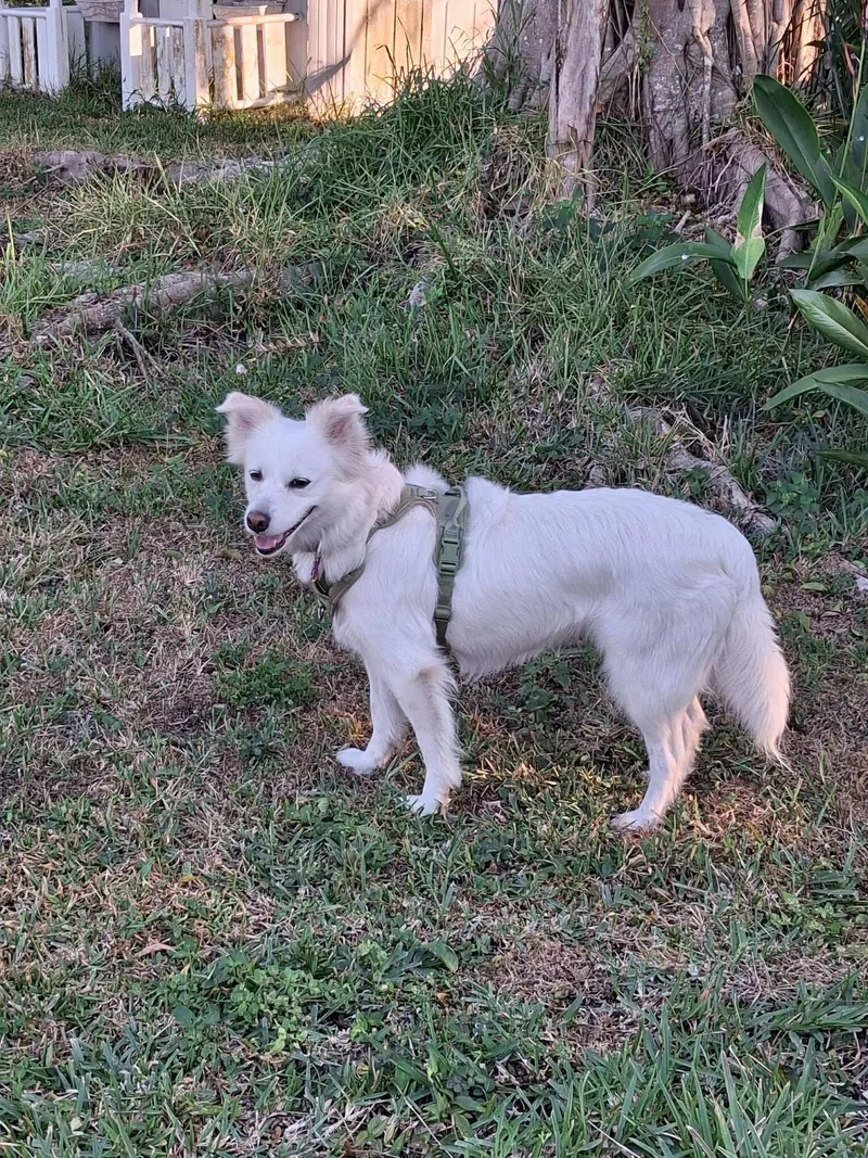 Luna Of Central Fl thumbnail 2