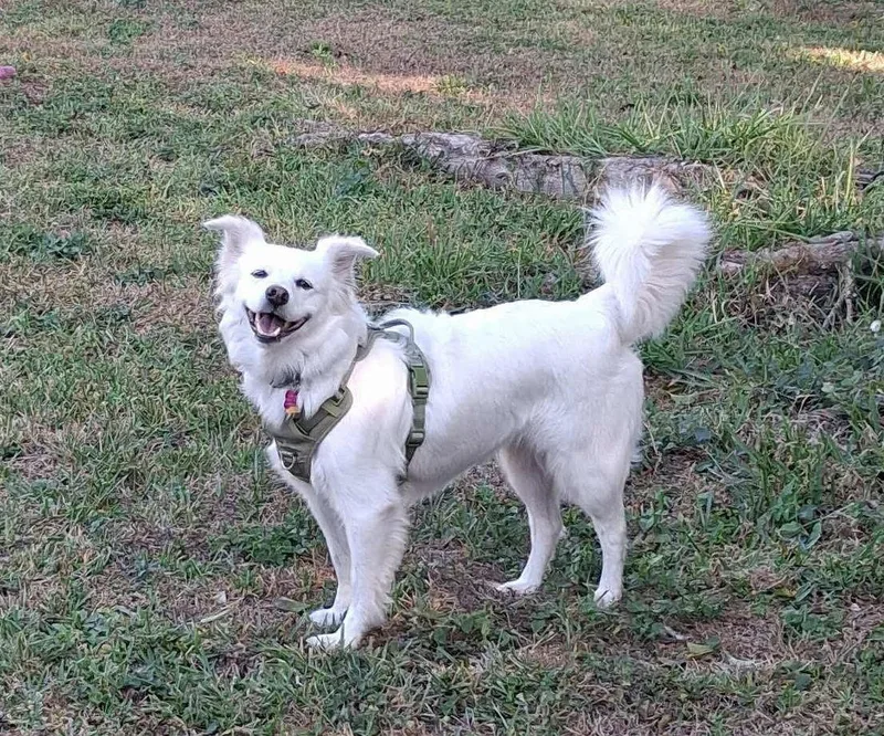 Luna Of Central Fl thumbnail 3