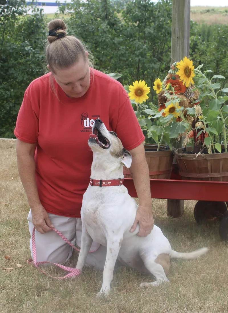 Princess thumbnail 3