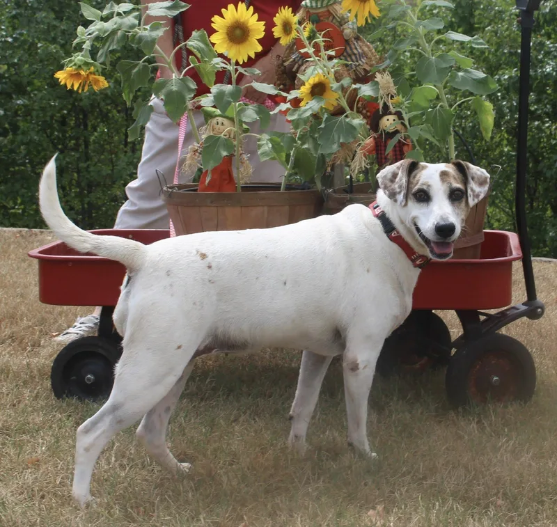 Princess thumbnail 5