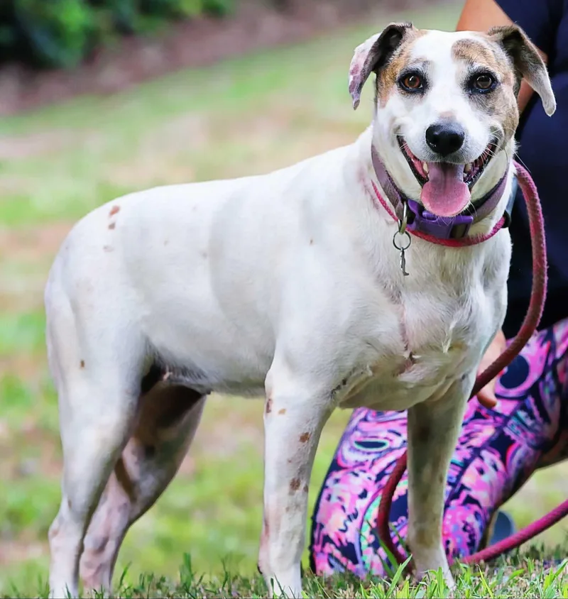 Princess thumbnail 6