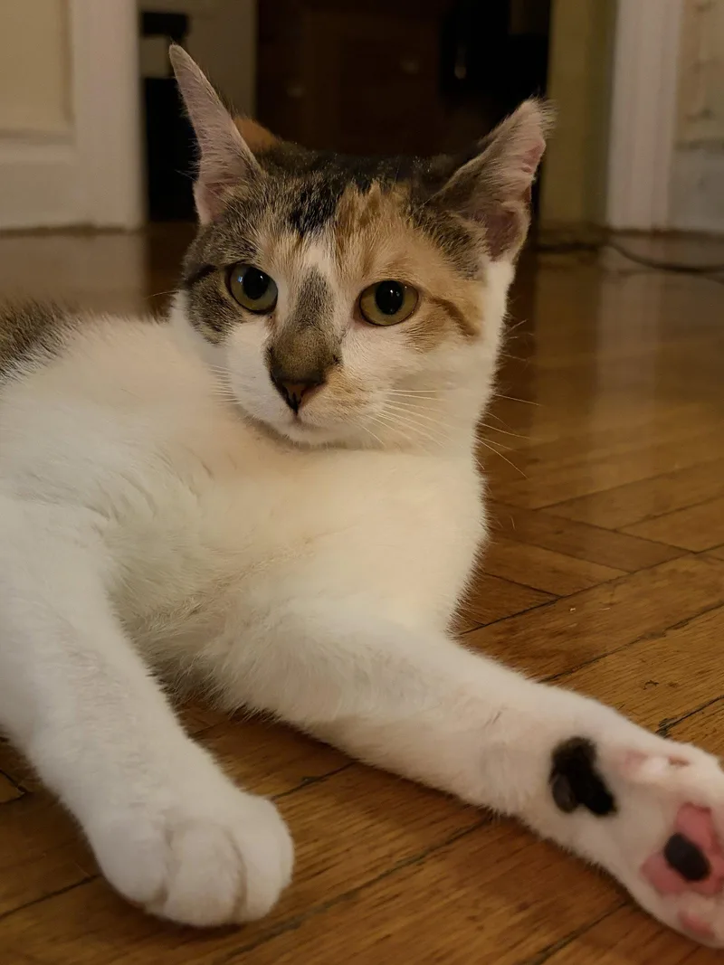 Margo thumbnail 3