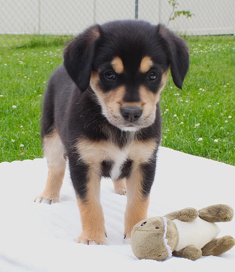 Darla thumbnail 3