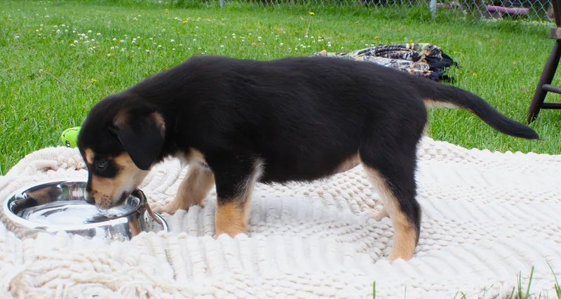 Darla thumbnail 5