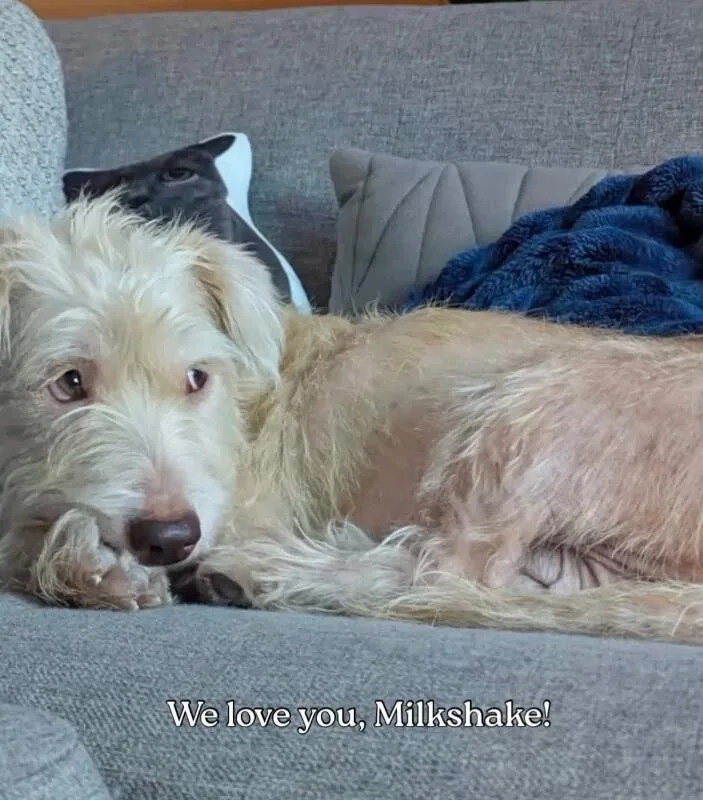 Milkshake thumbnail 5