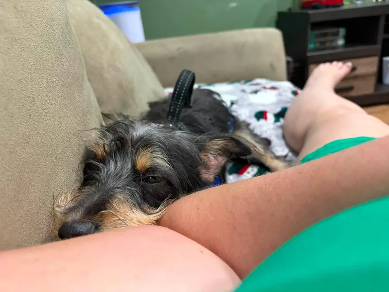 Pepper thumbnail 2