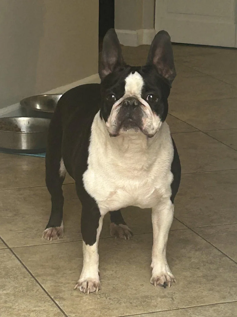 Cooper thumbnail 2