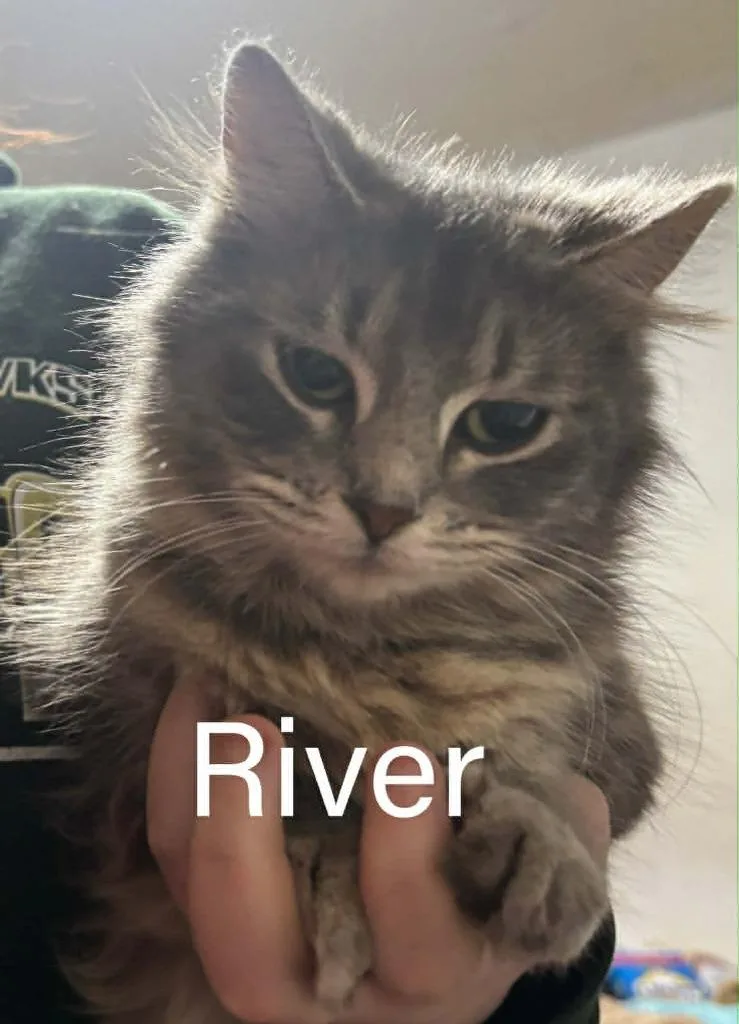 River