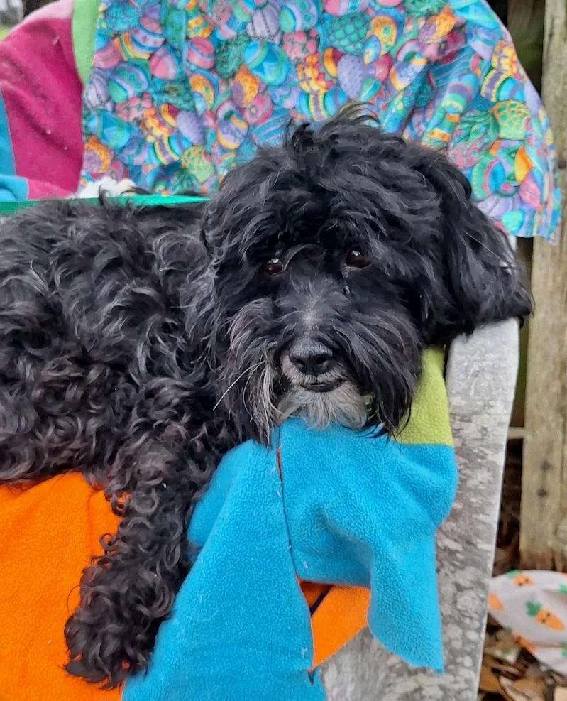 Nombeko Wat thumbnail 6