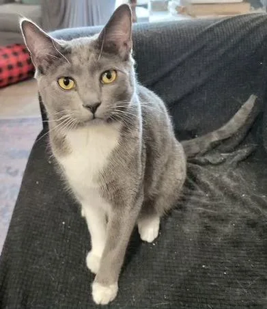 Jethro Napa Hm thumbnail 2