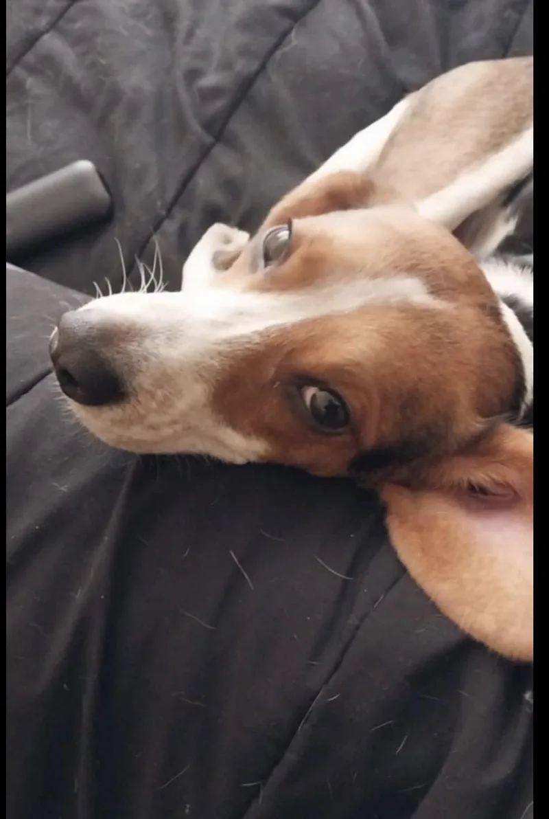 Ferris best boy seeking thumbnail 5