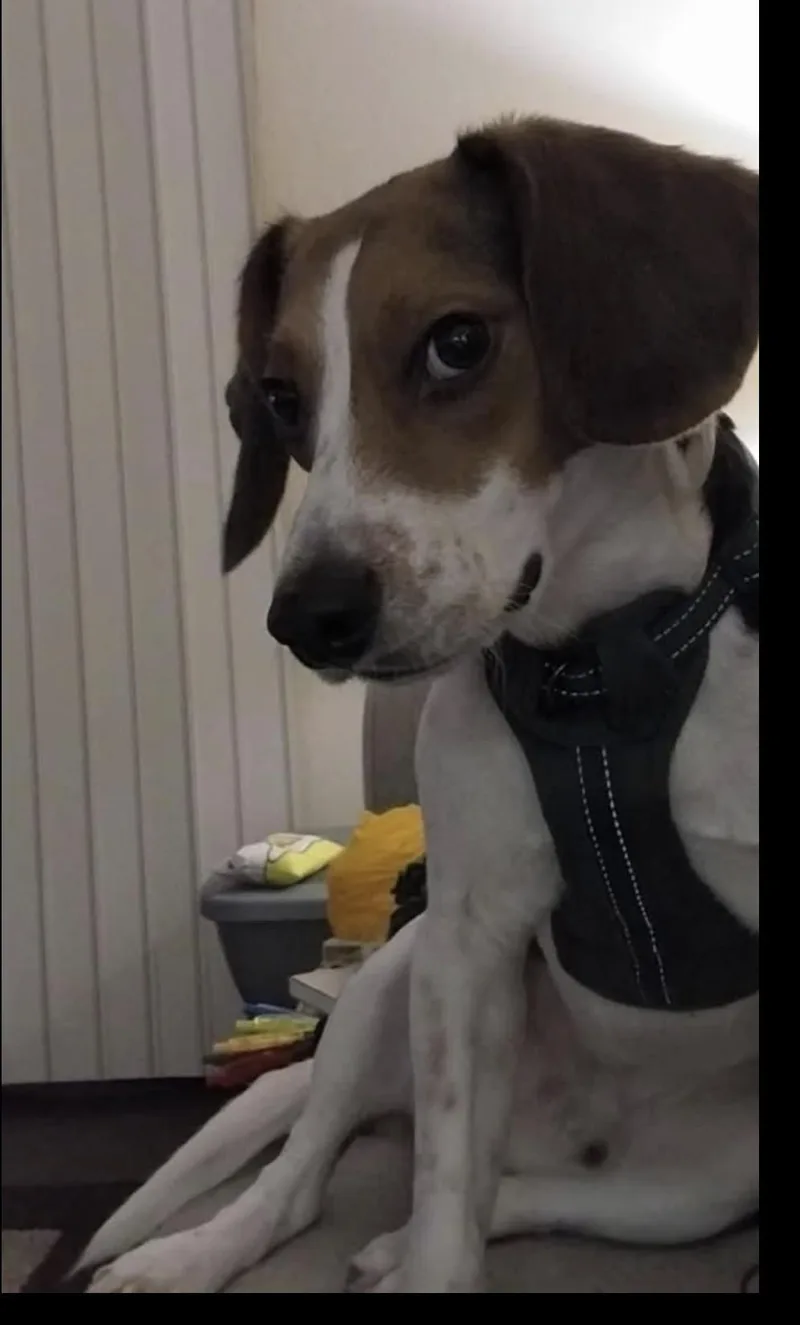 Ferris best boy seeking thumbnail 6