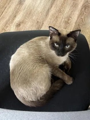 Sammy