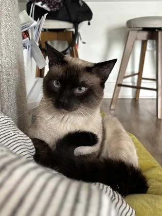 Sammy thumbnail 3