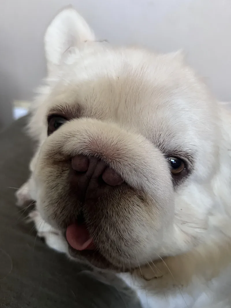 Charlie thumbnail 2