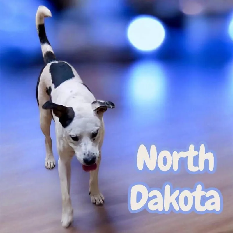 North Dakota  Friendly thumbnail 2
