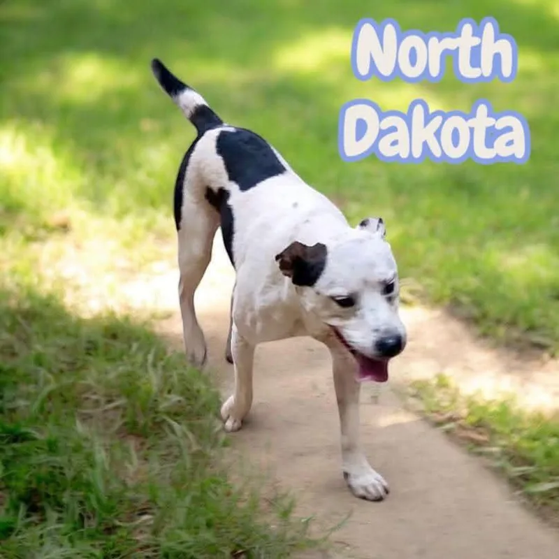 North Dakota  Friendly thumbnail 3