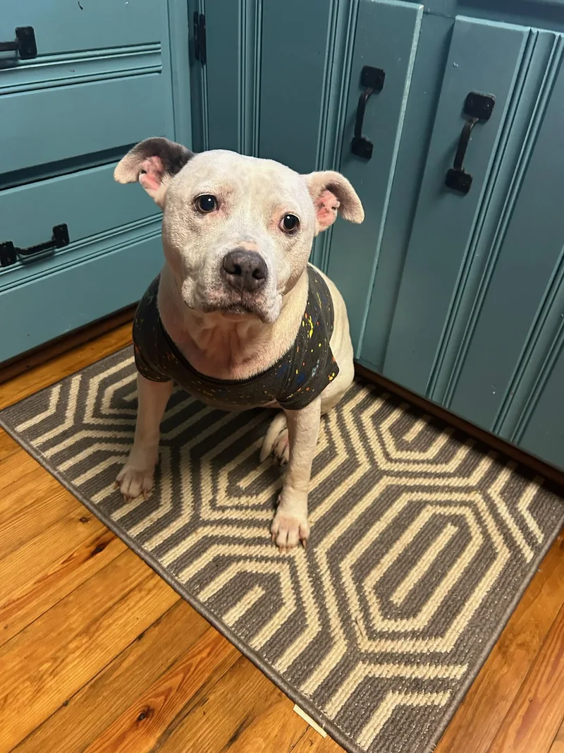 Elizabeth thumbnail 2