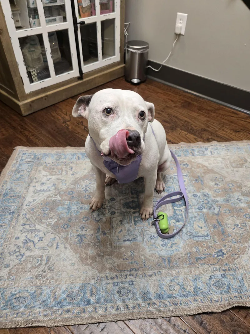 Elizabeth thumbnail 3