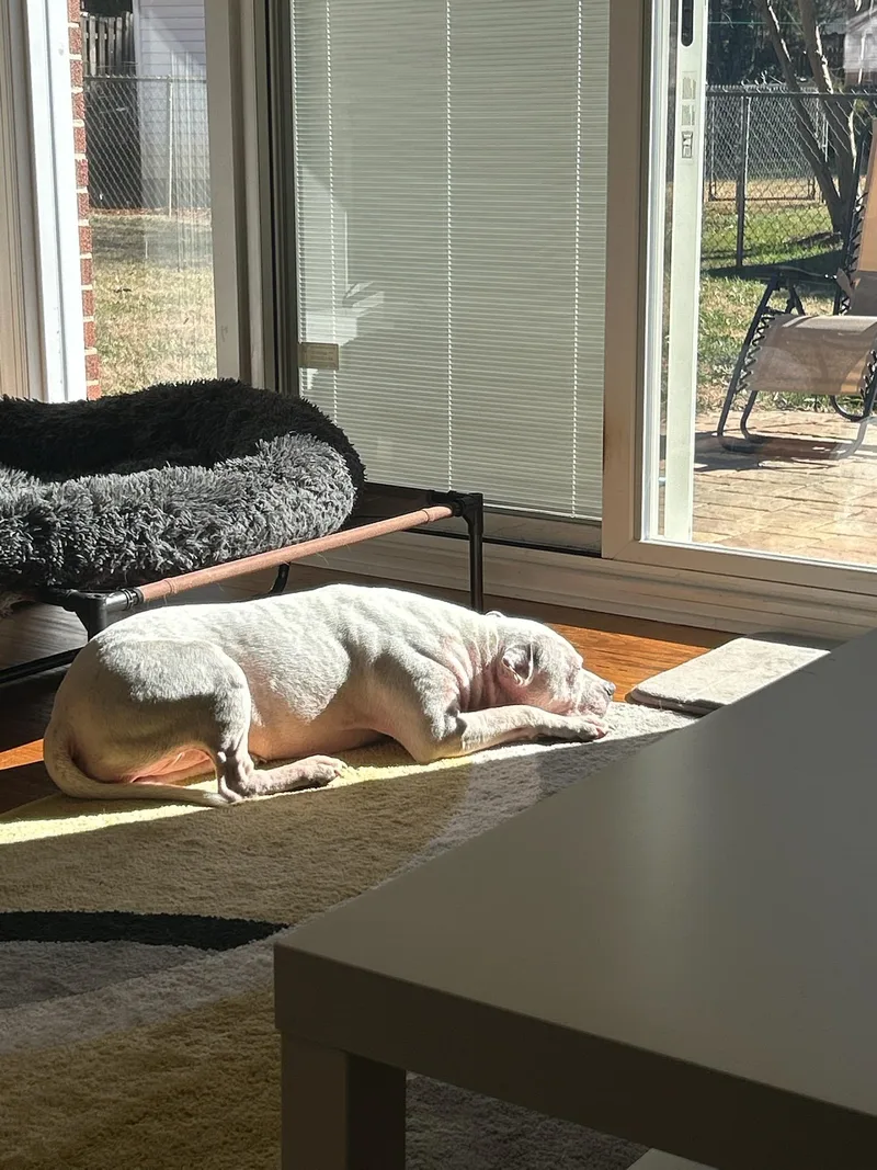 Elizabeth thumbnail 4