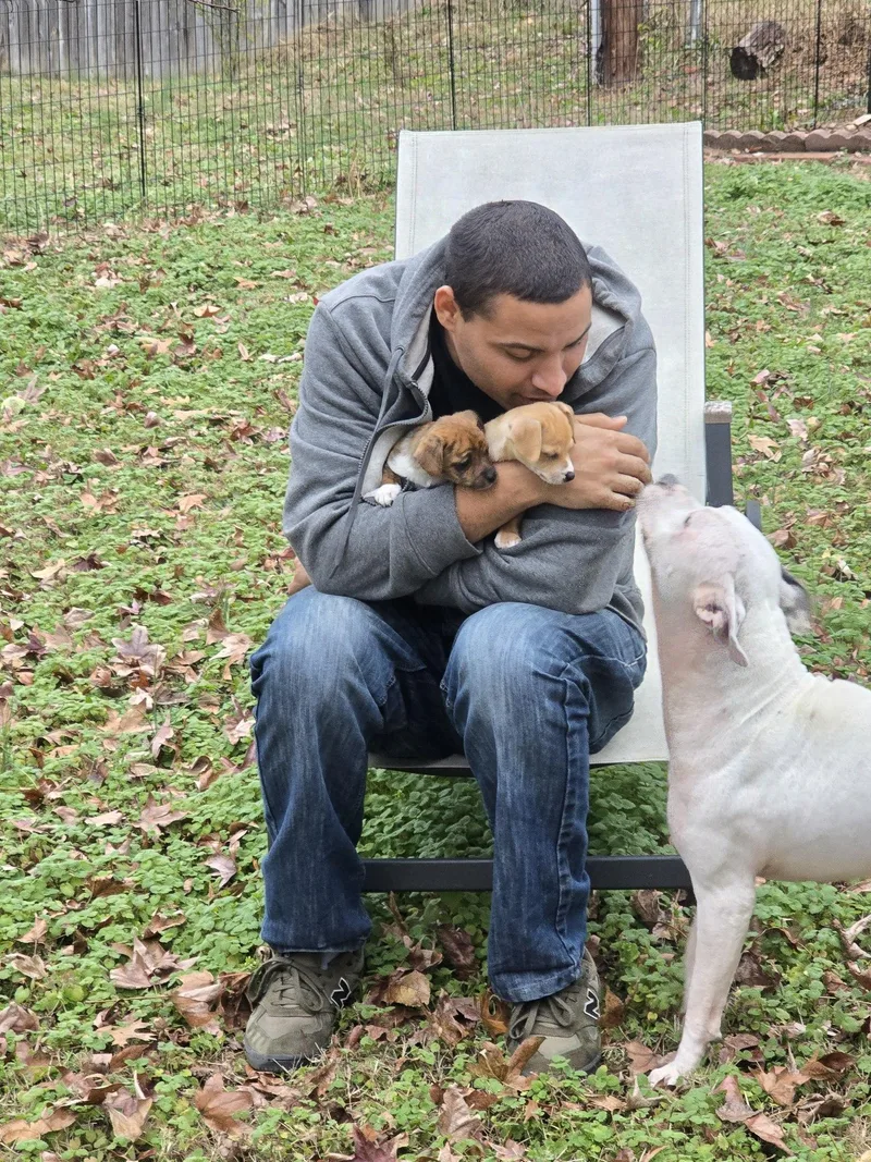 Elizabeth thumbnail 5