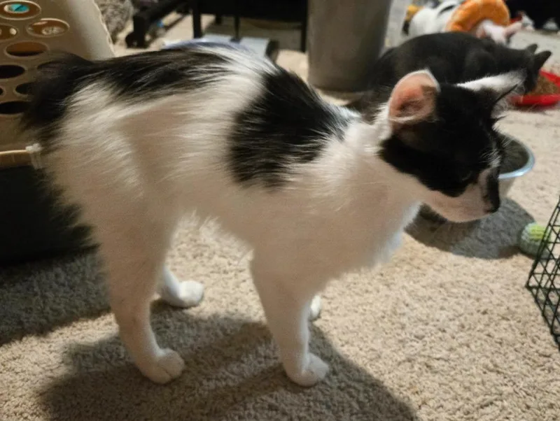 Missy thumbnail 2