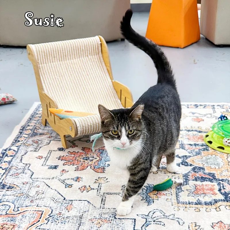 Susie @pawz Pet Cafe thumbnail 4