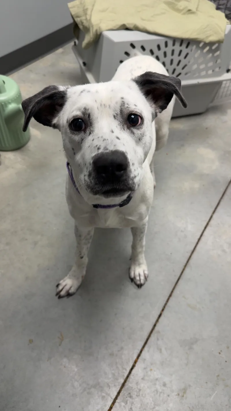 Serenity thumbnail 2