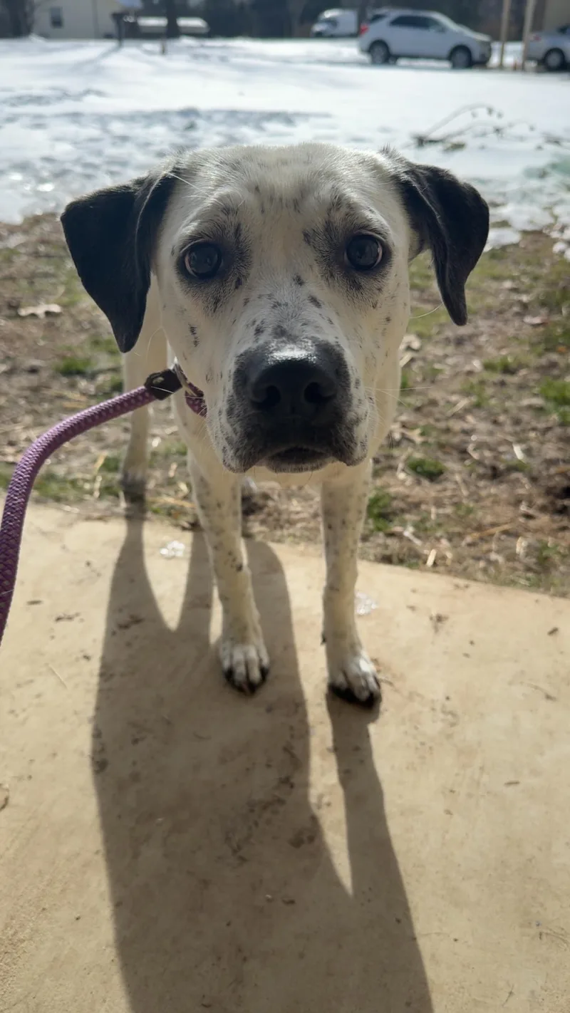 Serenity thumbnail 3