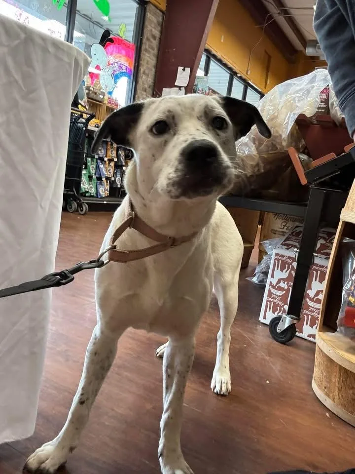 Serenity thumbnail 5